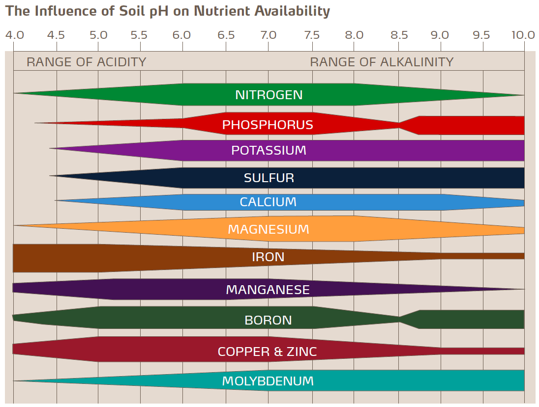 influence of soil ph on nutrient availability