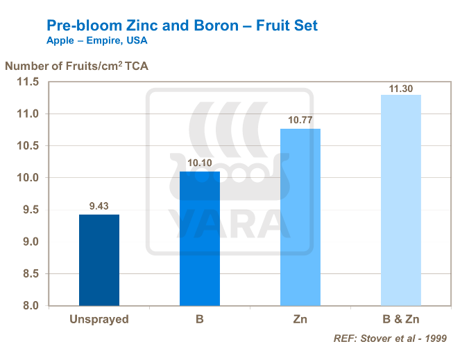 개화이전_착과 아연과 붕소