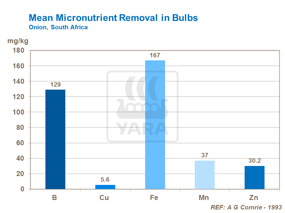 micronutrient removal in onion bulb