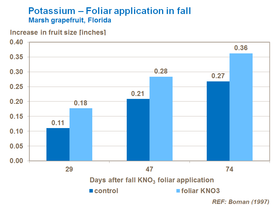foliar potassium application on citrus
