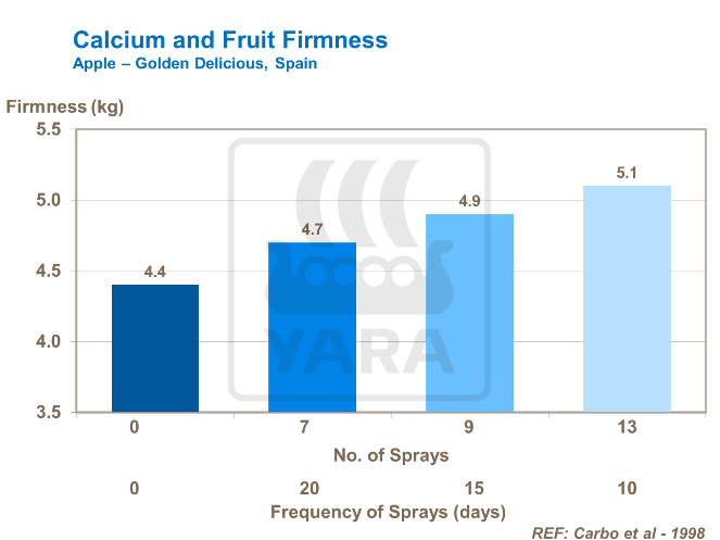 Calcium and Fruit Firmness
