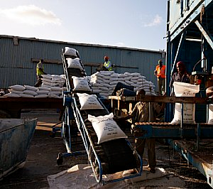 15 이미지 비료 포대