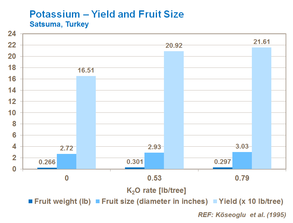 potassium on citrus yield and fruit size