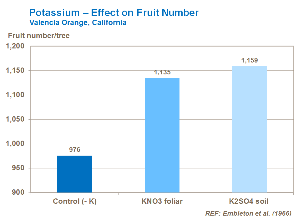 potassium effect on citrus fruit number