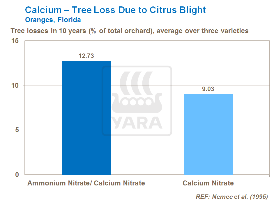 calcium and citrus blight
