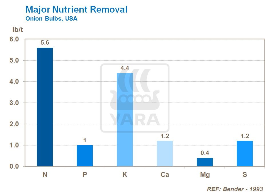 major nutrient removal in onions