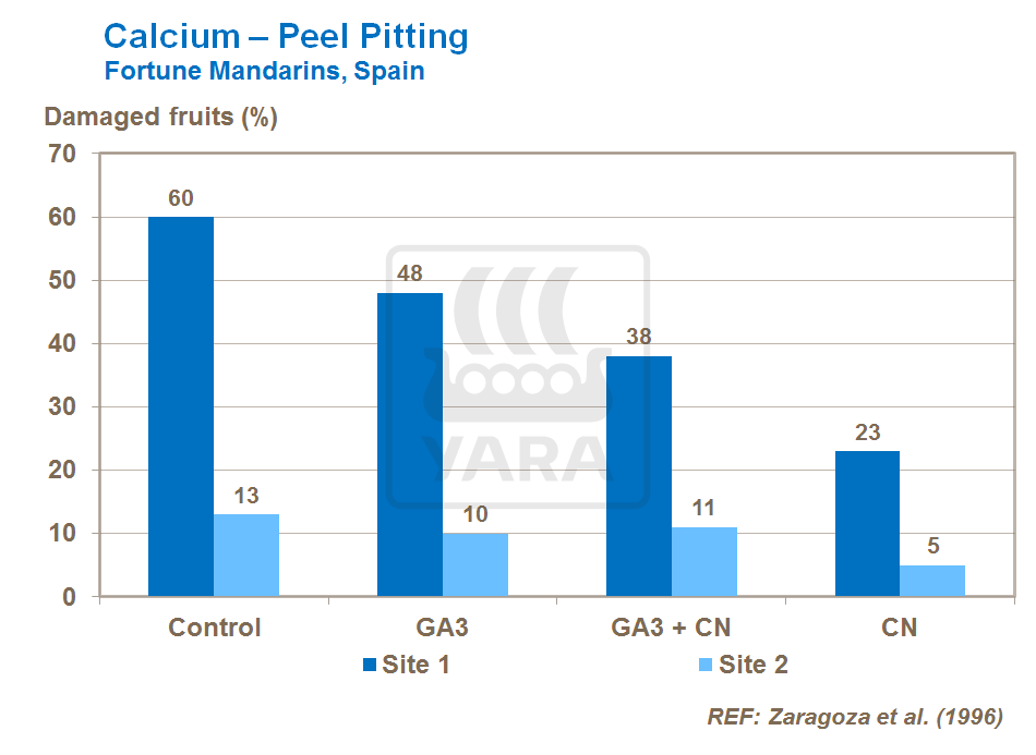 Calcium and Citrus Peel Pitting