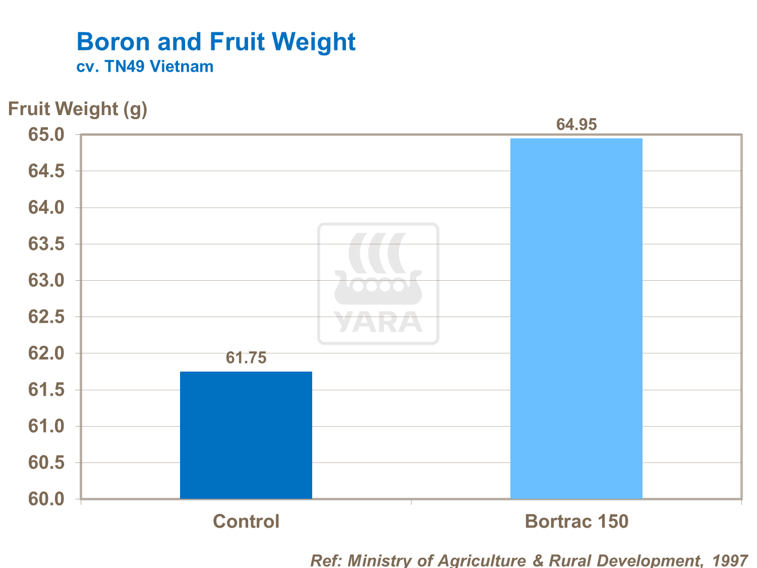 boron and tomato fruit weight