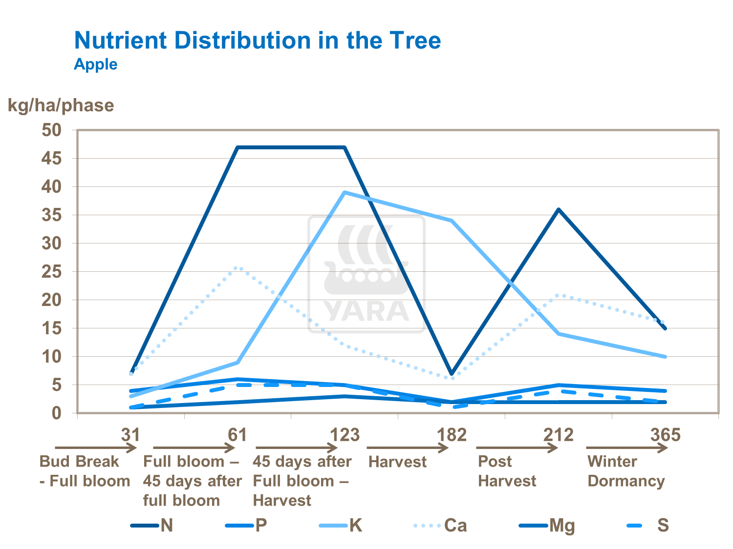 나무에서의 영양소 분포