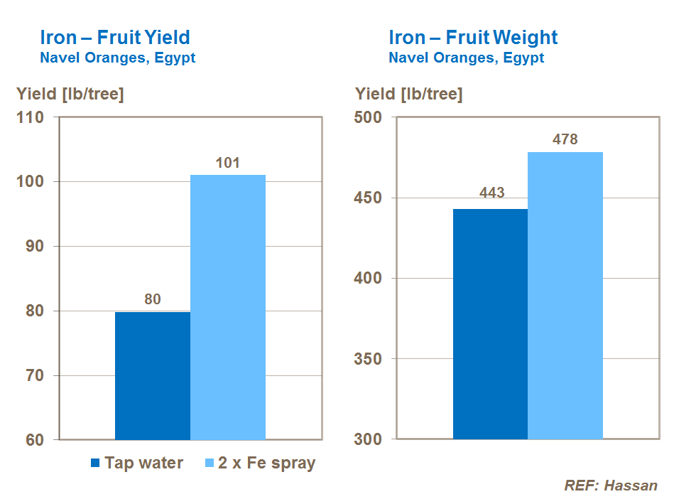 iron, yield and fruit weight in citrus