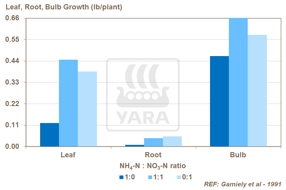 nitrogen source and onion crop growth