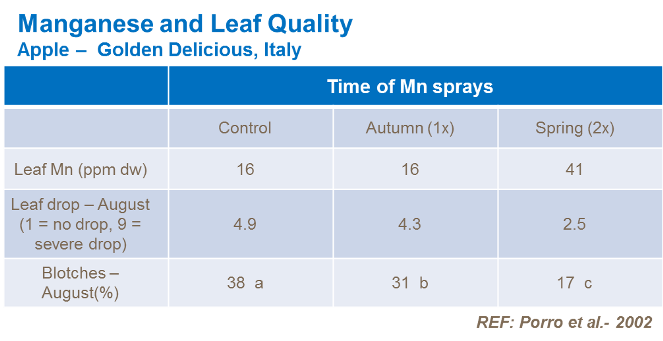 망간과 잎 품질