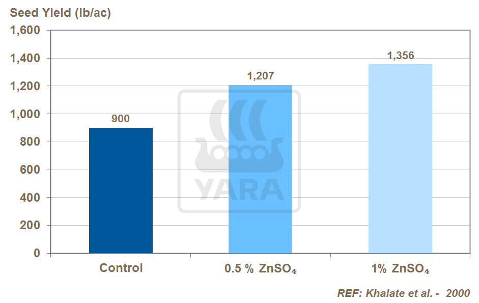 zinc and seed yield in onion crops