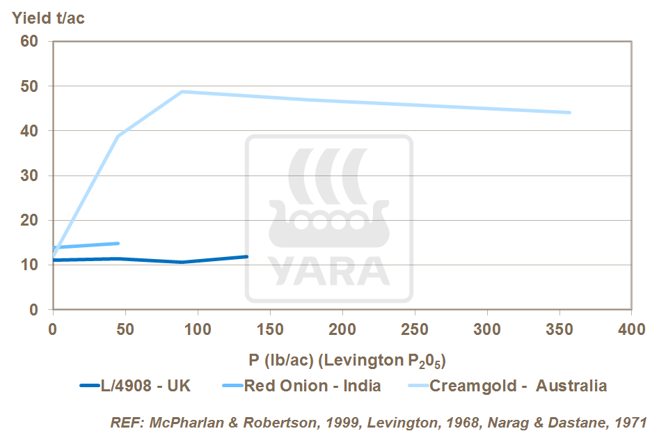 phosphorus and onion yield