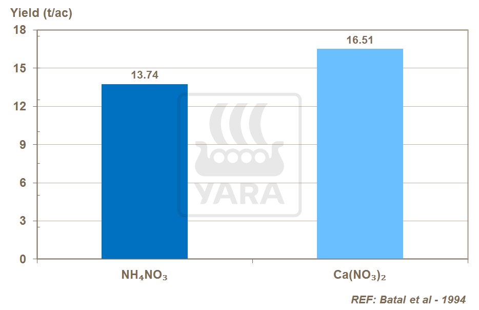 calcium nitrate and onion yield
