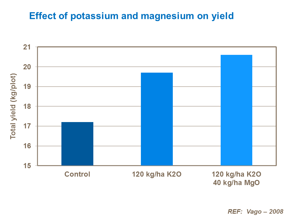 Effect of potassium and magnesium on yield