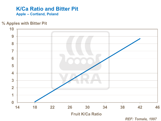 칼슘대비 칼륨과 고두병