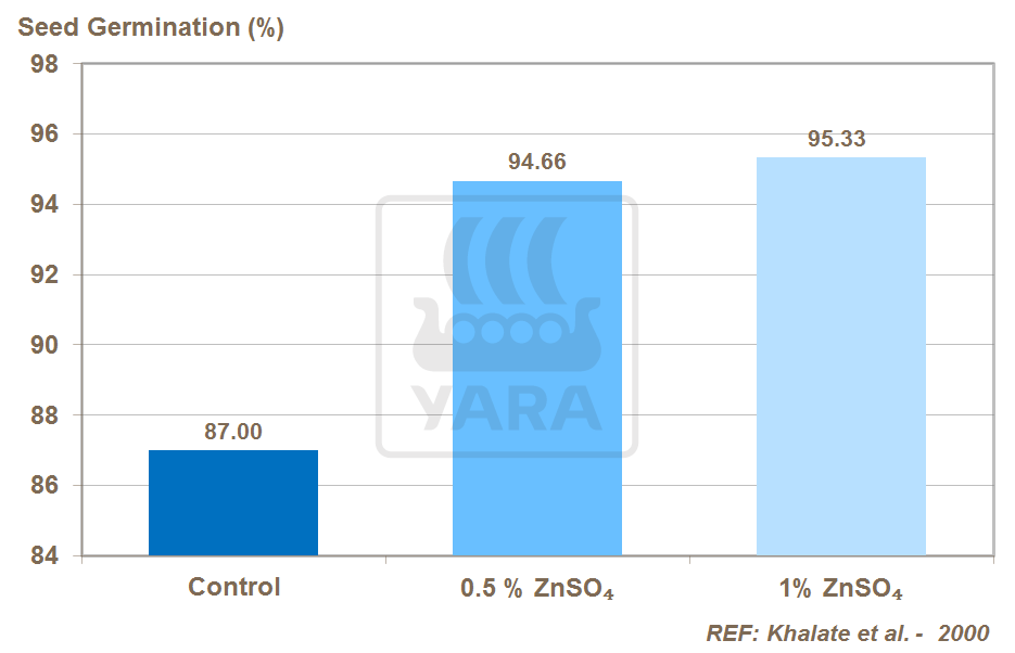 zinc and seed germination in onion crops