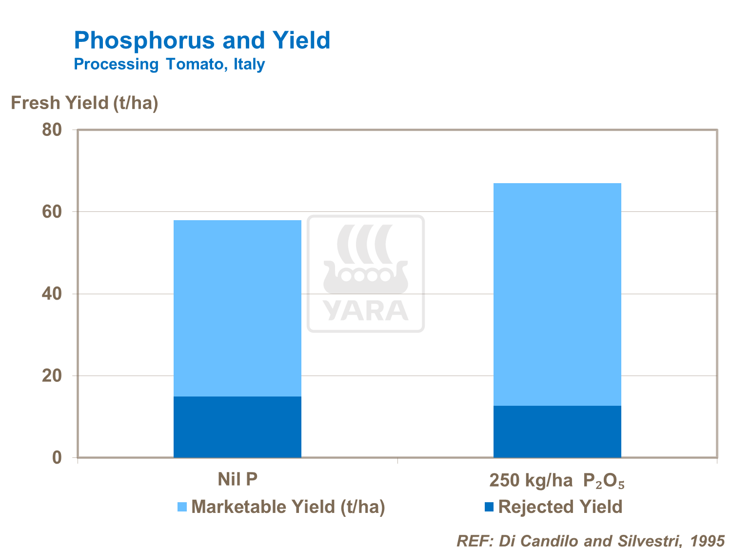Phosphorus and Yield