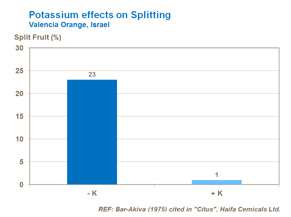 potassium effect on citrus peel splitting